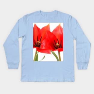 Tulipa linifolia  Flax-leaved tulip  Miscellaneous tulip Kids Long Sleeve T-Shirt